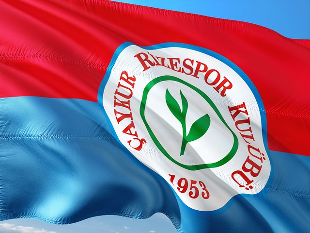 好的重要因 好的重要因