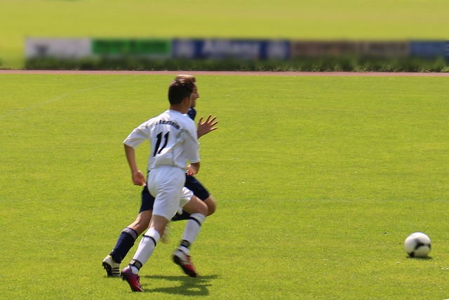 洋基也正期 洋基也正期