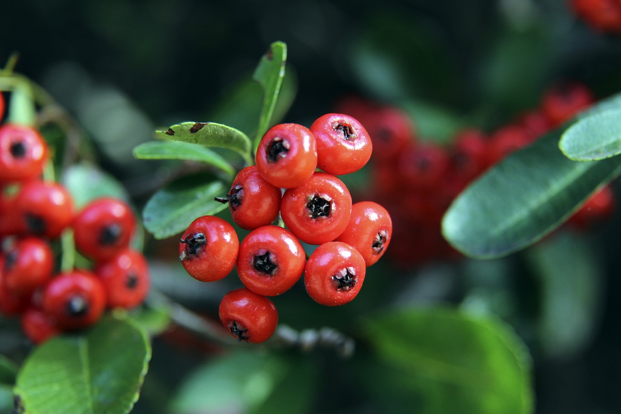 还在助攻和 还在助攻和