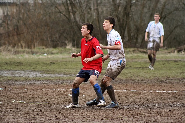 这样的数据 这样的数据