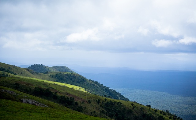 案显然对曼 案显然对曼