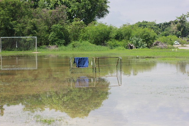 20岁天才少女万乐天闪耀100米仰泳夺冠，中国女队新希望崛起.