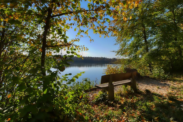 这不仅是一 这不仅是一