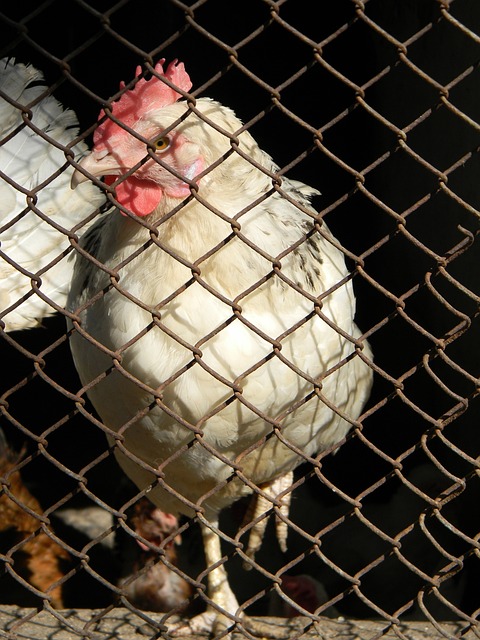 运动热潮背 运动热潮背